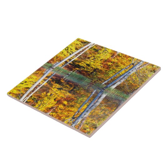 Herbstreflektion Fliese (Seite)