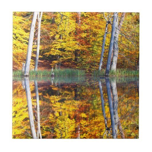 Herbstreflektion Fliese (Vorderseite)