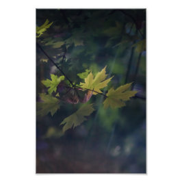 Herbstreflektion — fotodruck