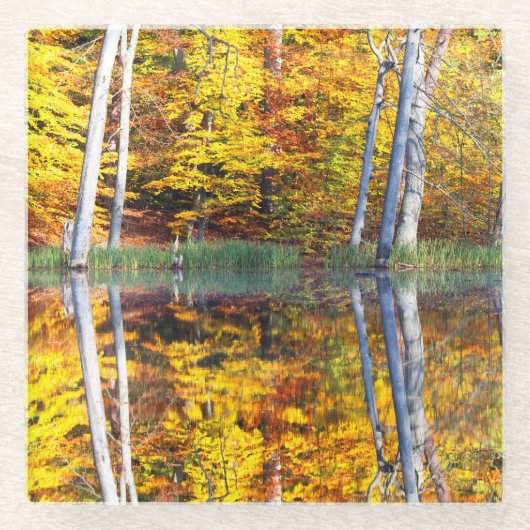 Herbstreflektion Glasuntersetzer (Vorderseite)