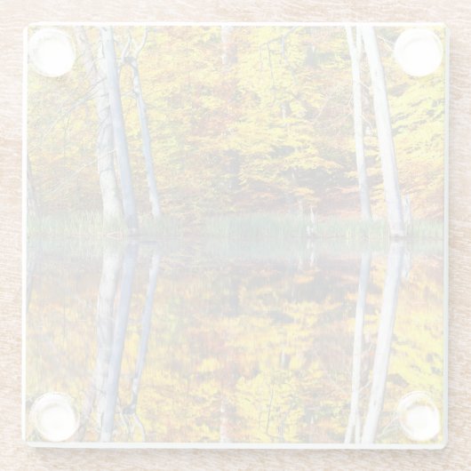 Herbstreflektion Glasuntersetzer (Rückseite)