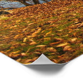 Herbstreflektion Poster (Ecke)