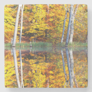 Herbstreflektion Steinuntersetzer