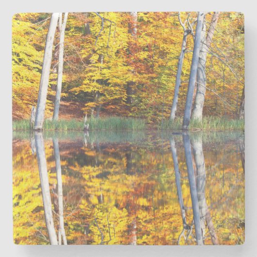 Herbstreflektion Steinuntersetzer (Vorderseite)