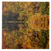 Herbstreflektion über den Kaffeeteich Fliese (Vorderseite)