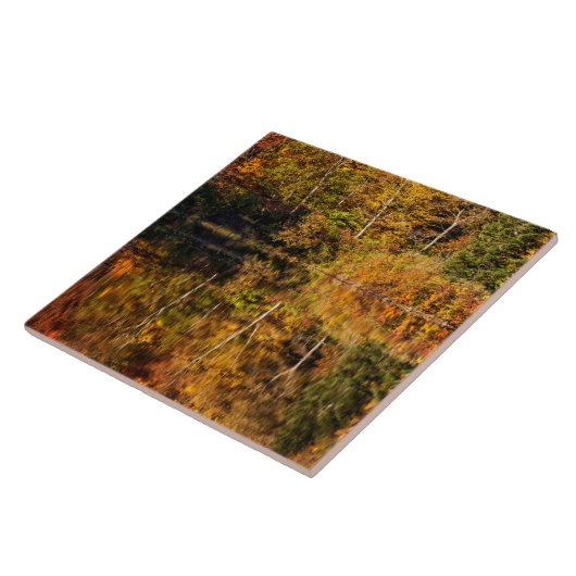 Herbstreflektion über den Kaffeeteich Fliese (Seite)