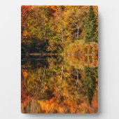 Herbstreflektion über den Kaffeeteich Fotoplatte (Vorderseite)
