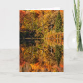 Herbstreflektion über den Kaffeeteich Karte (Vorderseite)