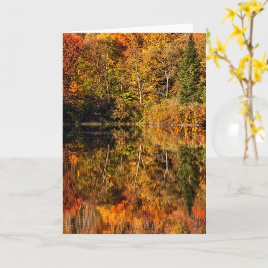 Herbstreflektion über den Kaffeeteich Karte (Gelbe Blume)