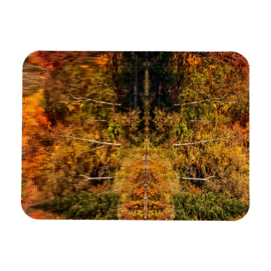 Herbstreflektion über den Kaffeeteich Magnet (Horizontal)