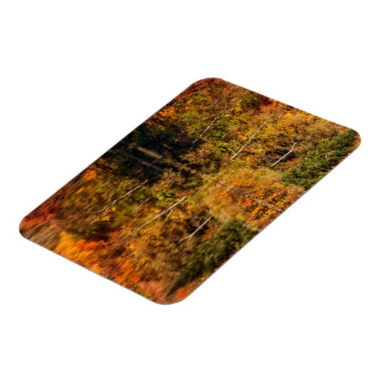 Herbstreflektion über den Kaffeeteich Magnet (Linke Seite)