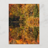 Herbstreflektion über den Kaffeeteich Postkarte (Vorderseite)