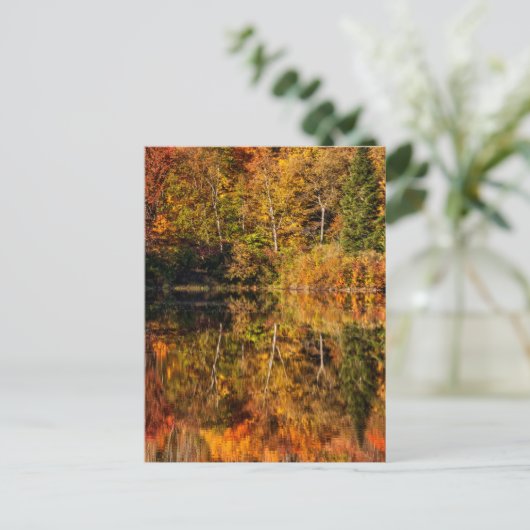 Herbstreflektion über den Kaffeeteich Postkarte (Stehend Vorderseite)
