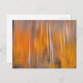 Herbstreflektionen auf dem Biberteich | Winthrop, Postkarte (Vorne/Hinten)