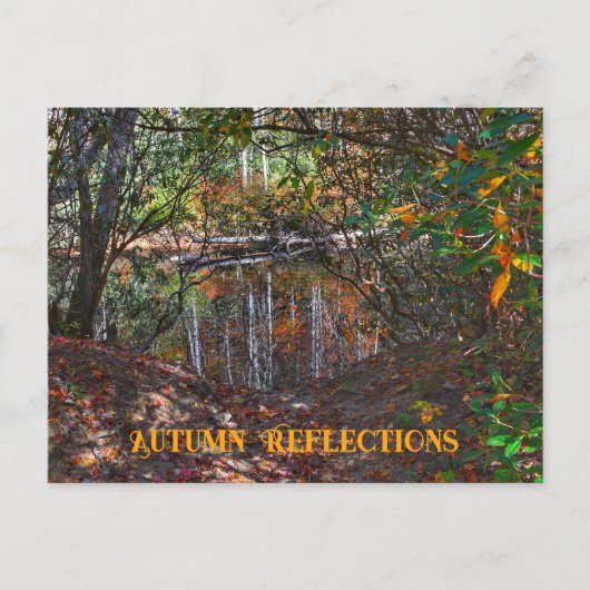 Herbstreflektionen Bergstrom fotografisch Postkarte (Vorderseite)