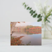 Herbstreflektionen jenseits der Birke Postkarte (Stehend Vorderseite)