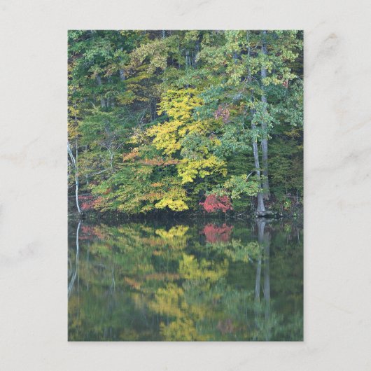 Herbstreflektionen Postkarte (Vorderseite)
