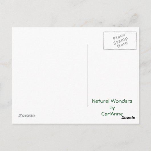 Herbstreflektionen Postkarte (Rückseite)