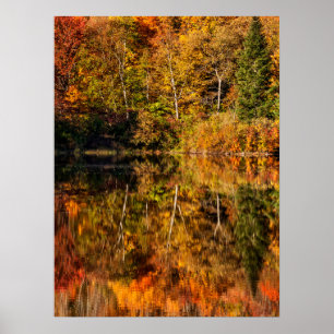 Herbstreflexion am Coffin Pond Poster