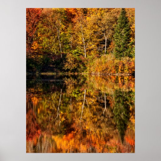 Herbstreflexion am Coffin Pond Poster (Vorne)