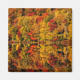 Herbstreflexion am Russell Pond New Hampshire Magnet