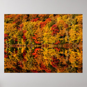 Herbstreflexion am Russell Pond   New Hampshire Poster