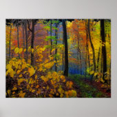 Herbstregen, Poster (Vorne)