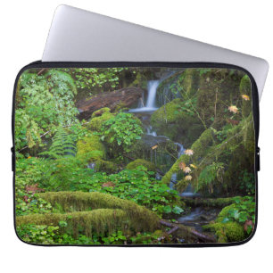 Herbstregenwald Olympic-Nationalpark Laptopschutzhülle