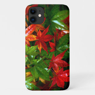 Herbstrennen Case-Mate iPhone Hülle