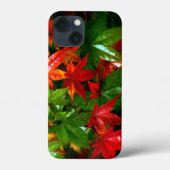 Herbstrennen Case-Mate iPhone Hülle (Rückseite)