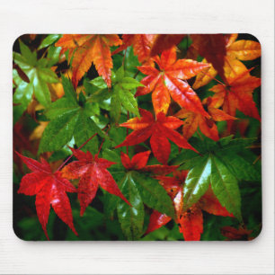 Herbstrennen Mousepad