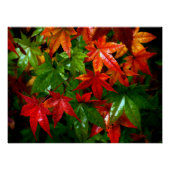 Herbstrennen Poster (Vorderseite)