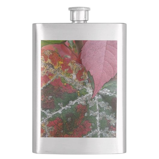 Herbstrost Flachmann (Vorderseite)