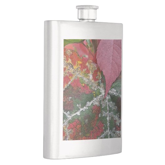 Herbstrost Flachmann (Rechts)