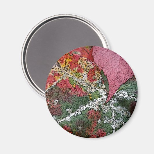 Herbstrost Magnet (Vorderseite/Rückseite)