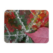 Herbstrost Magnet (Horizontal)
