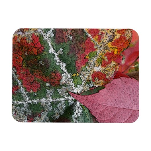Herbstrost Magnet (Horizontal)