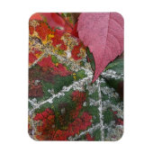 Herbstrost Magnet (Vertikal)