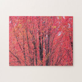 Herbstrot - Herbstbaume Puzzle