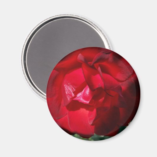 Herbstrot Magnet (Vorderseite/Rückseite)