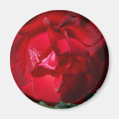 Herbstrot Magnet (Vorne)