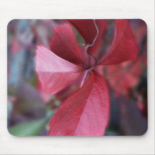Herbstrot Mousepad
