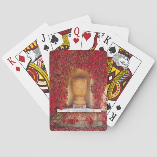 Herbstrot, Neuseeland Spielkarten (Rückseite)