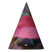 Herbstrot Partyhütchen (Links)