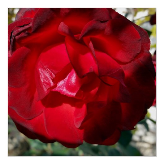 Herbstrot Poster (Vorderseite)