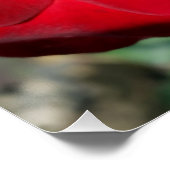 Herbstrot Poster (Ecke)