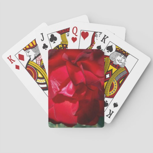 Herbstrot Spielkarten (Rückseite)