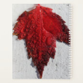 Herbstrote Blätter Planer (Rückseite)