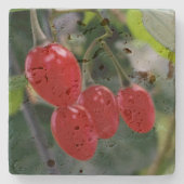 Herbstrote Flecken Steinuntersetzer (Vorderseite)