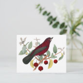 herbstroter Vogel vintage Postkarte (Stehend Vorderseite)